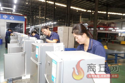 科技賦能，技術(shù)開(kāi)發(fā)驅(qū)動(dòng)冷產(chǎn)業(yè)轉(zhuǎn)型升級(jí)新篇章