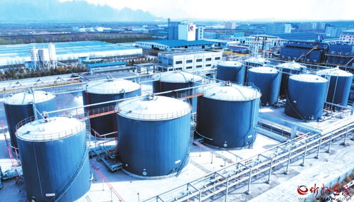 原平經濟技術開發區 引領新星炭黑產業升級的技術咨詢探索